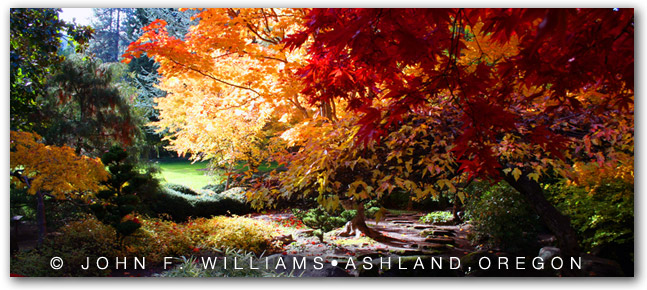 Lithia Park Japanese Garden