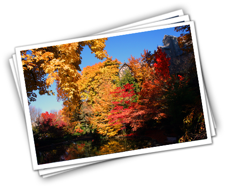 JWIL.com Header Shadow